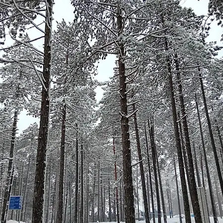 Apartman Mondo Daire Zlatibor