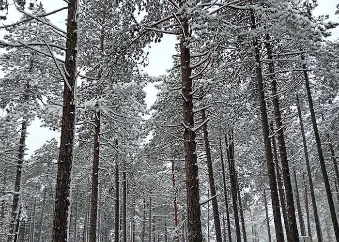 Apartman Mondo 아파트 즐라티보